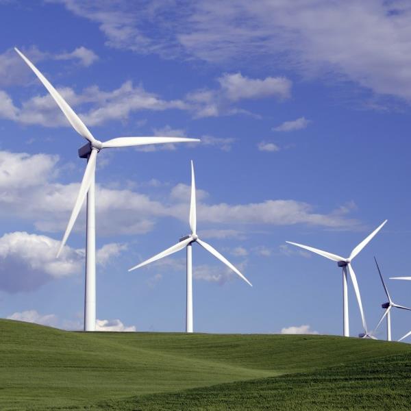 Our Policy Priorities 2023 2024   Wind Turbines Square 