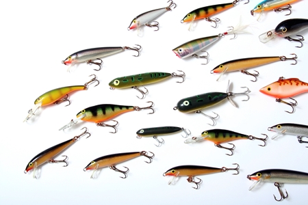 Where to Catch Nightcrawlers for Fishing Bait – Outdoor Troop