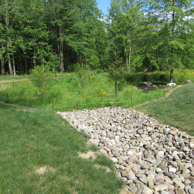 Stream with small waterfall