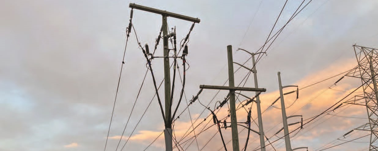 Transmission lines in Virginia - credit Michael Reinemer