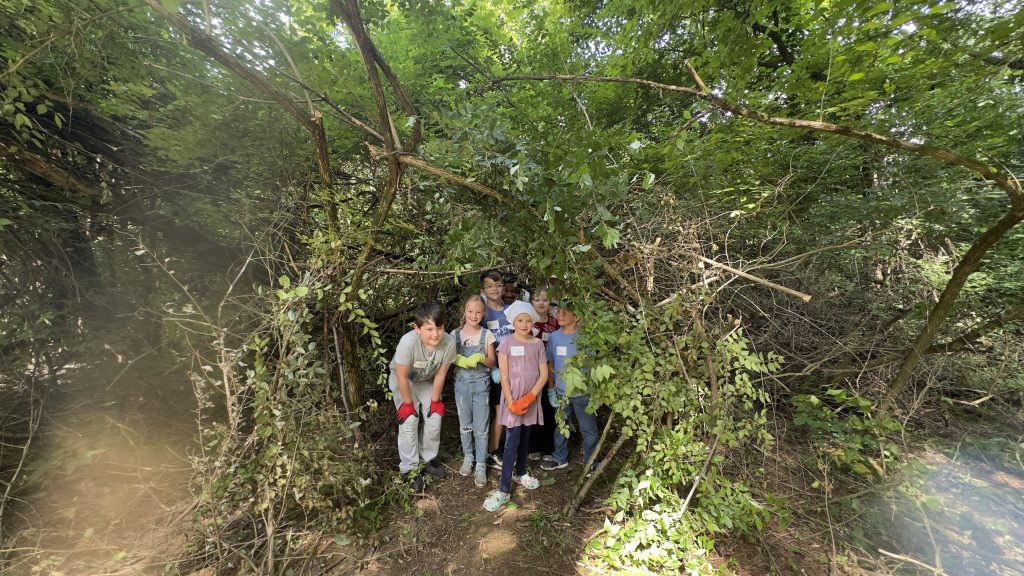 Children hiding in a pile of branches.