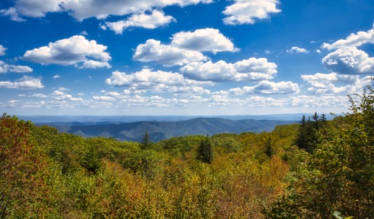 Monongahela National Forest