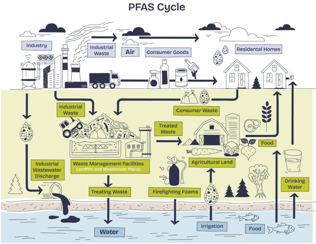 PFAS Cycle Chart also known as Forever Chemicals.